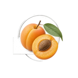 Apricot