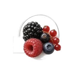 Berries