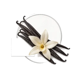 Bourbon Vanilla