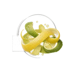 Bright Citrus Blend