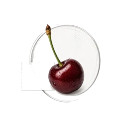 Cherry
