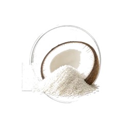 Coconut Powder