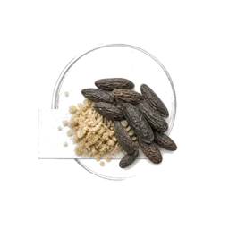 Coumarin