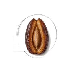 Dates
