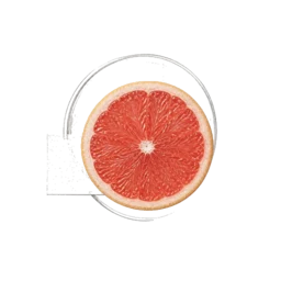 Grapefruit