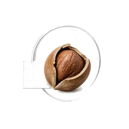 Hazelnut