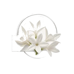 Jasmine Petals