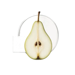 Pear
