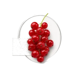 Red Berries