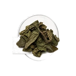Rich Patchouli