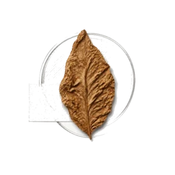 Tobacco