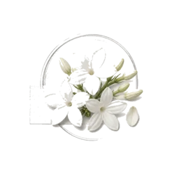 White Florals