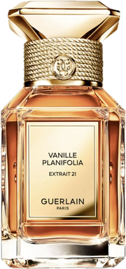 Vanille Planifolia 21