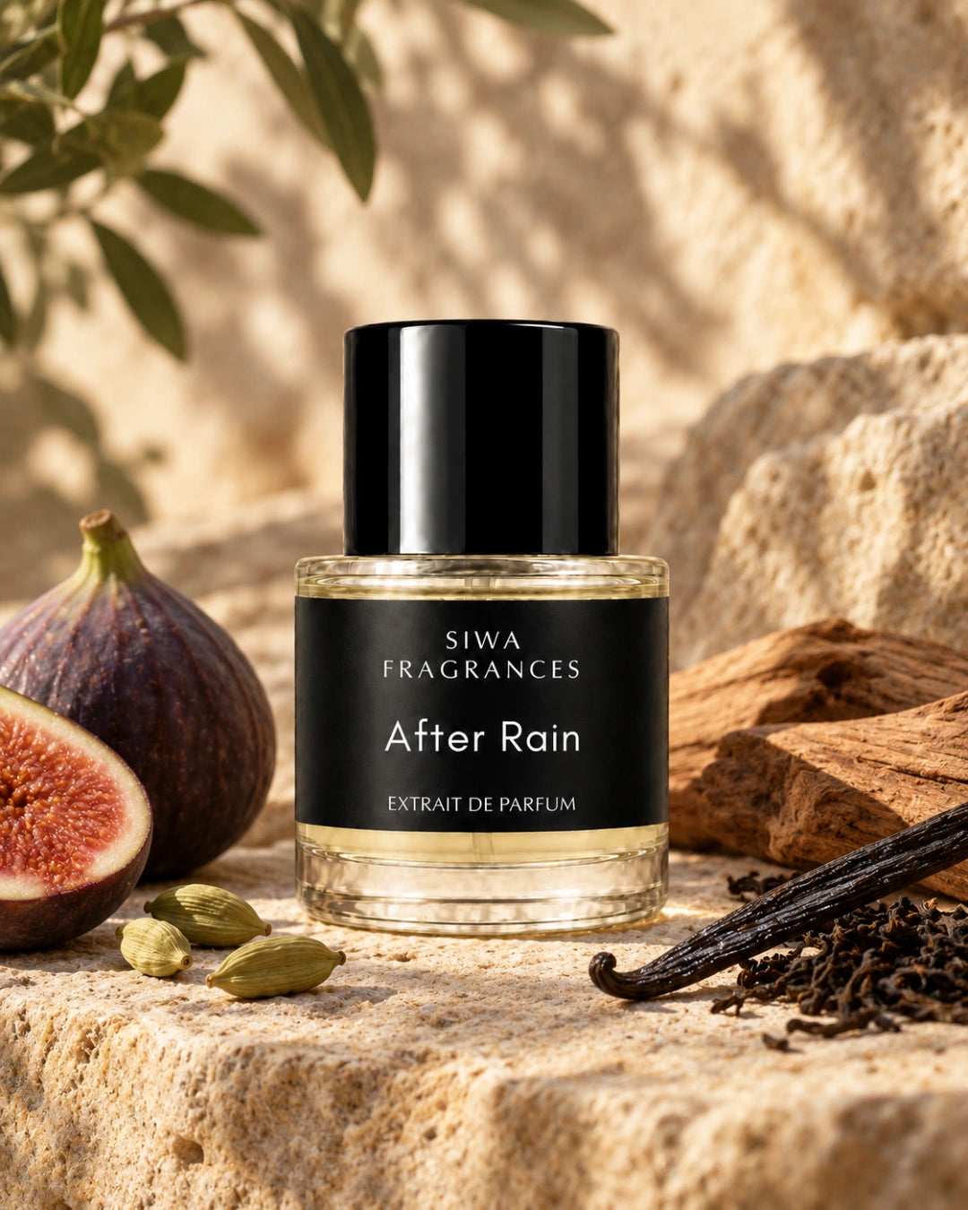 After Rain 50ml with sandalwood, cardamom, fig, black tea and vanilla | siwa-package-v1:after-rain:macro-editorial | siwa-variant-media:50ml