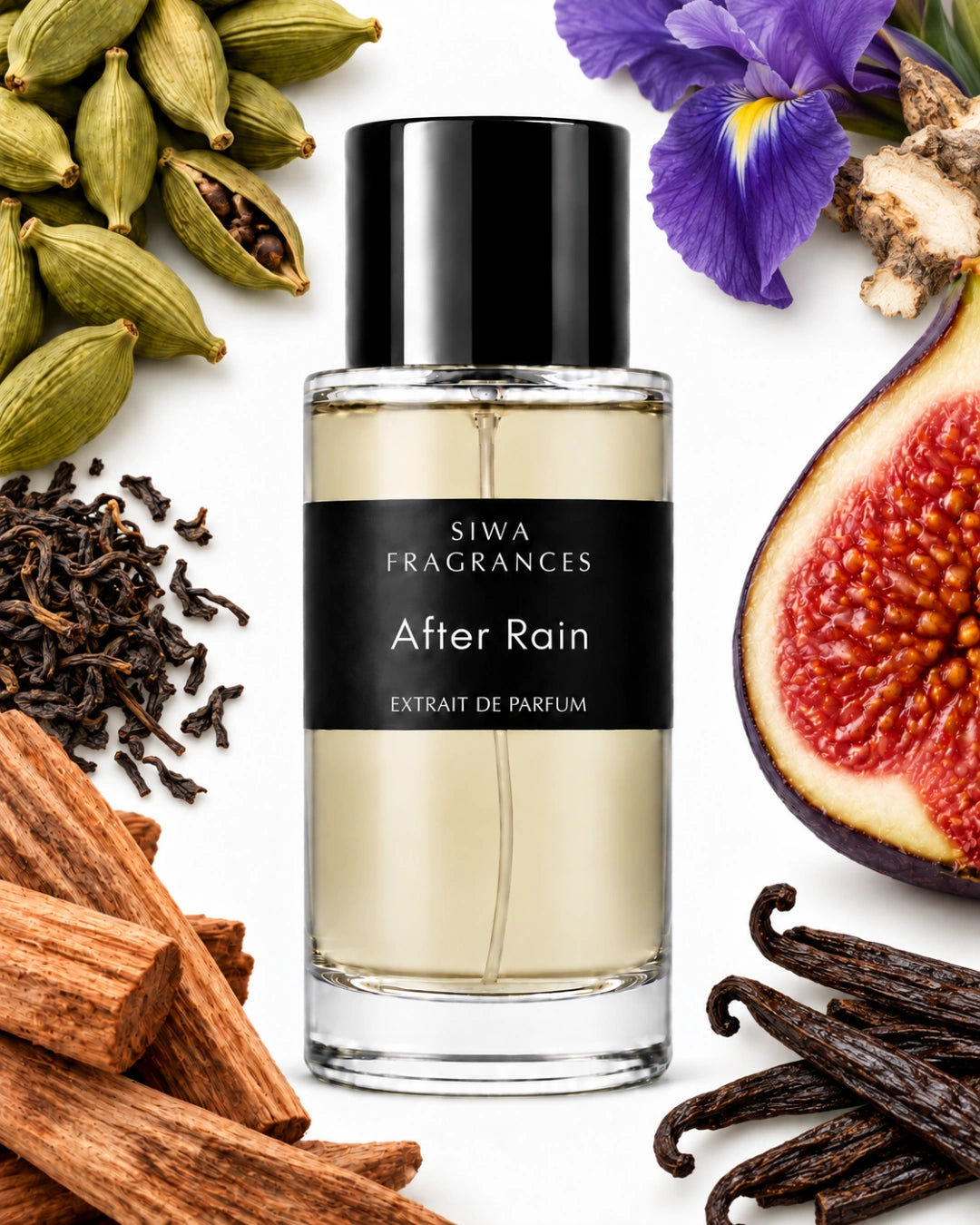 After Rain 100ml with sandalwood, cardamom, fig, vanilla, iris and black tea | siwa-package-v1:after-rain:key-notes:100ml