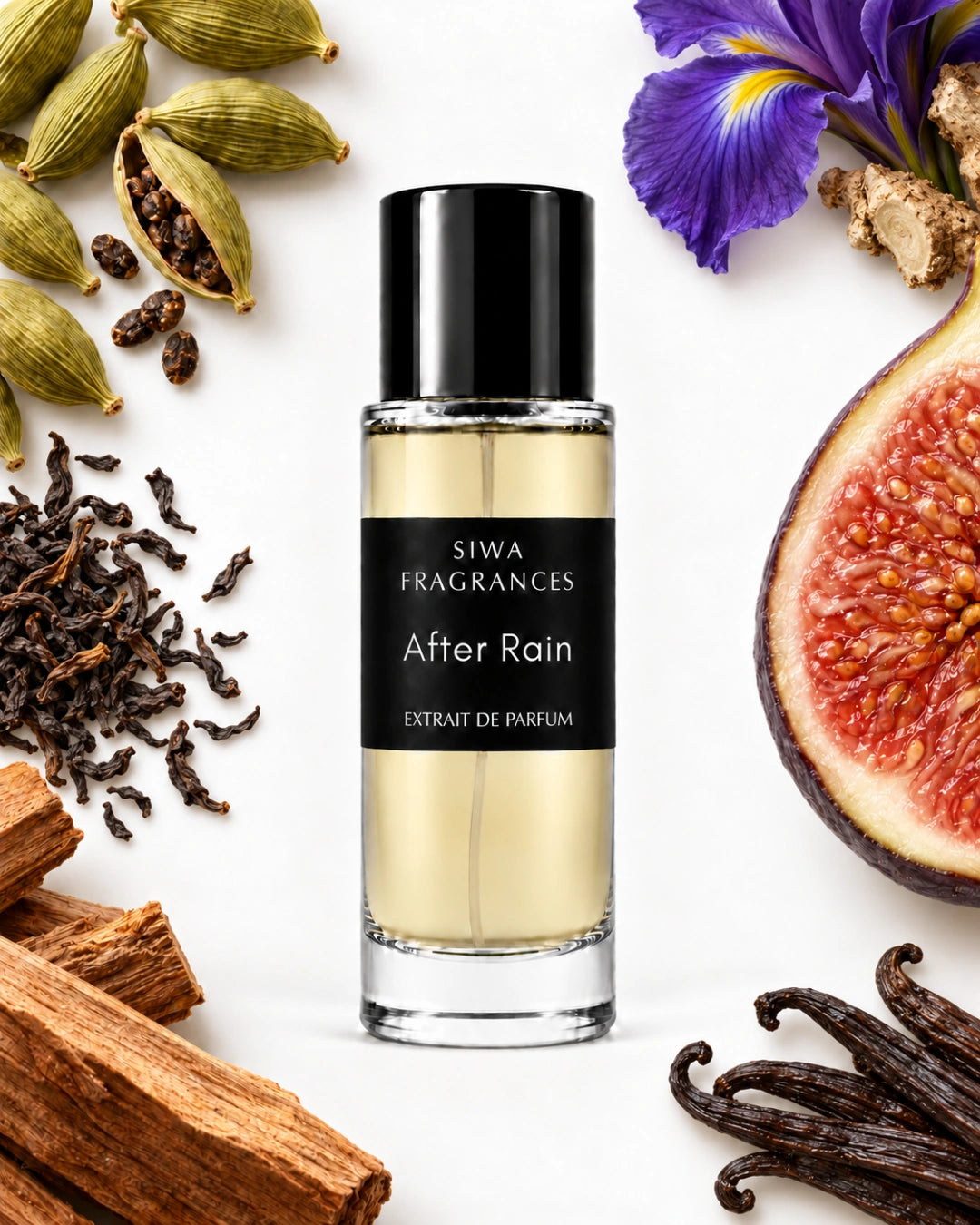 After Rain 30ml with sandalwood, cardamom, fig, vanilla, iris and black tea | siwa-package-v1:after-rain:key-notes:30ml