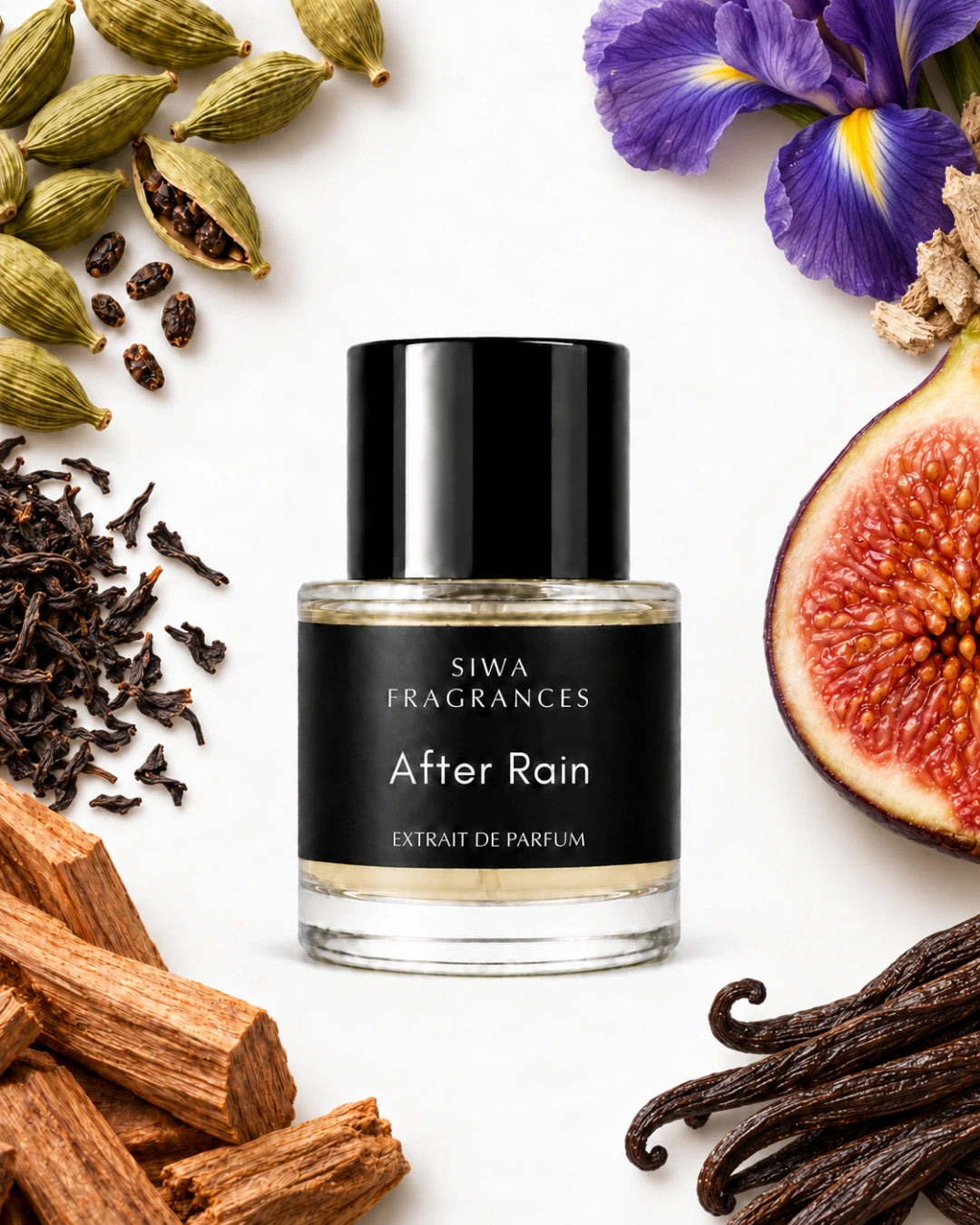 After Rain 50ml with sandalwood, cardamom, fig, vanilla, iris and black tea | siwa-package-v1:after-rain:key-notes:50ml