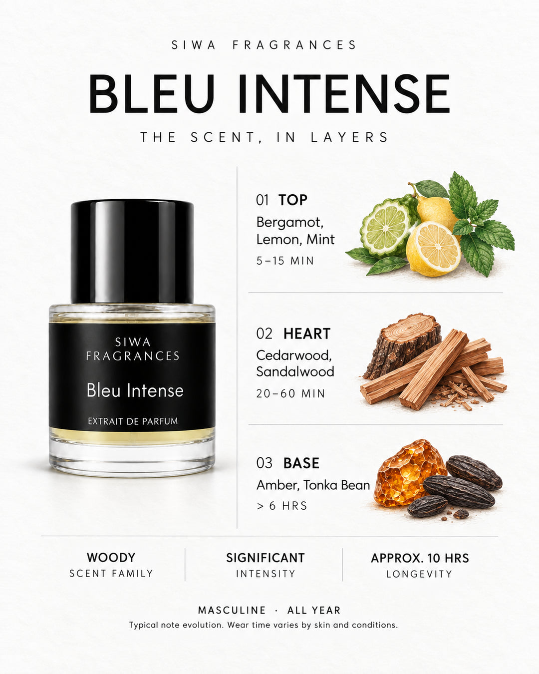 Siwa Bleu Intense 50ml bottle with colored illustrations of its fragrance notes. Top: Bergamot, Lemon, Mint; Heart: Cedarwood, Sandalwood; Base: Amber, Tonka Bean. | siwa-colored-notes-v1:bleu-intense