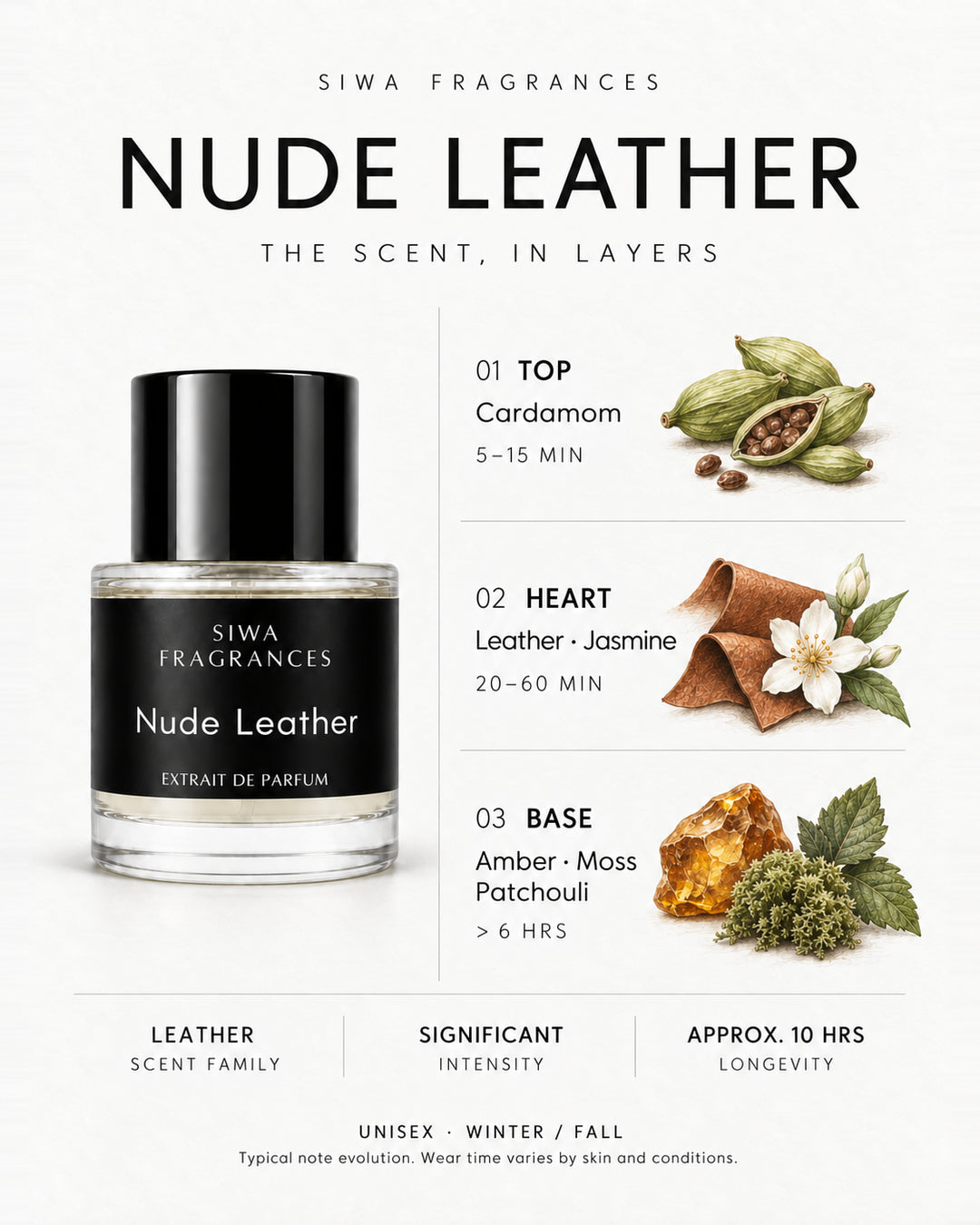Siwa Nude Leather 50ml bottle with colored illustrations of its fragrance notes. Top: Cardamom; Heart: Leather and Jasmine; Base: Amber, moss and patchouli. | siwa-colored-notes-v1:nude-leather