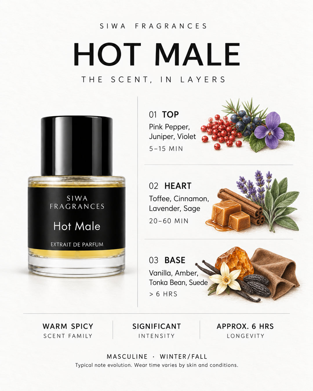 Siwa Hot Male 50ml bottle with colored illustrations of its fragrance notes. Top: Pink Pepper, Juniper, Violet; Heart: Toffee, Cinnamon, Lavender, Sage; Base: Vanilla, Amber, Tonka Bean, Suede. | siwa-colored-notes-v1:hot-male