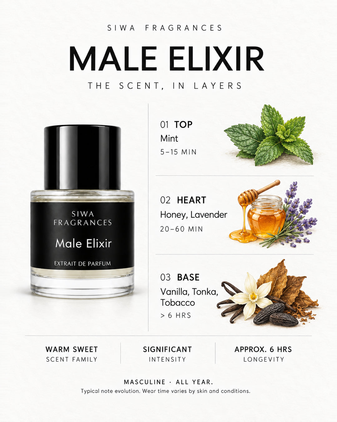 Siwa Male Elixir 50ml bottle with colored illustrations of its fragrance notes. Top: Mint; Heart: Honey, Lavender; Base: Vanilla, Tonka, Tobacco. | siwa-colored-notes-v1:male-elixir