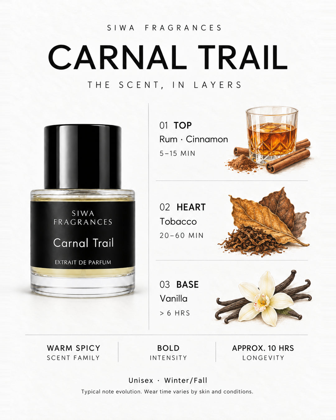 Siwa Carnal Trail 50ml bottle with colored illustrations of its fragrance notes. Top: Rum, Cinnamon; Heart: Tobacco; Base: Vanilla. | siwa-colored-notes-v1:carnal-trail