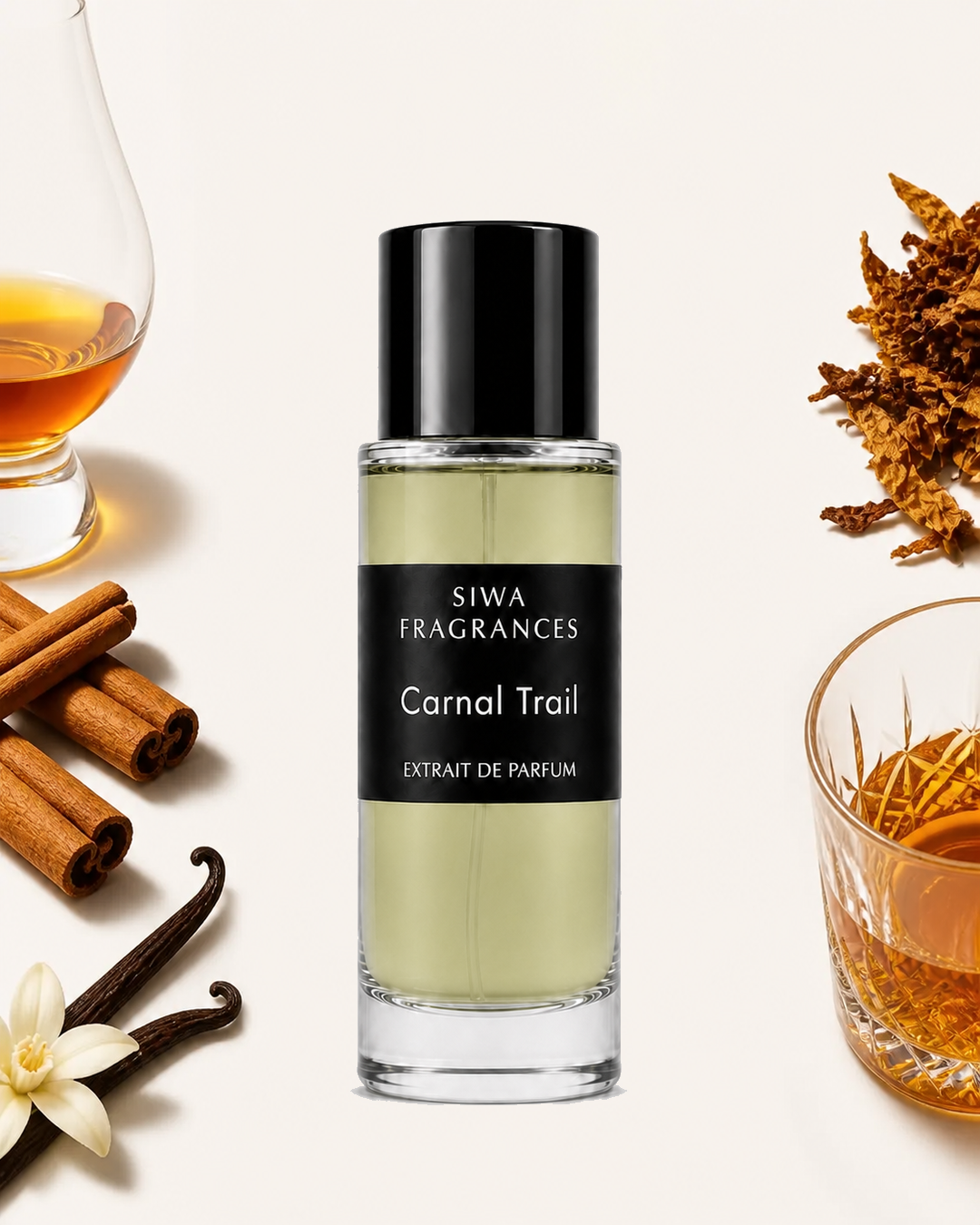 Key notes for carnal trail — 30 ml | siwa-gallery-v1:key-notes:carnal-trail:30ml