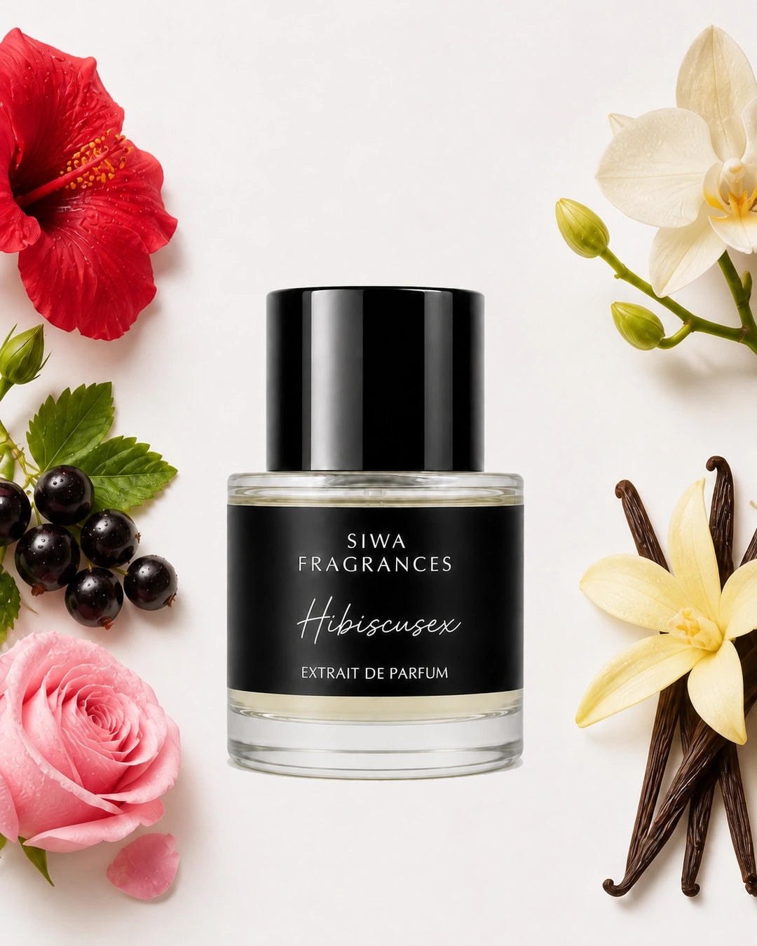 Siwa Hibiscusex 50ml key notes | siwa-gallery-v1:key-notes:hibiscusex:50ml