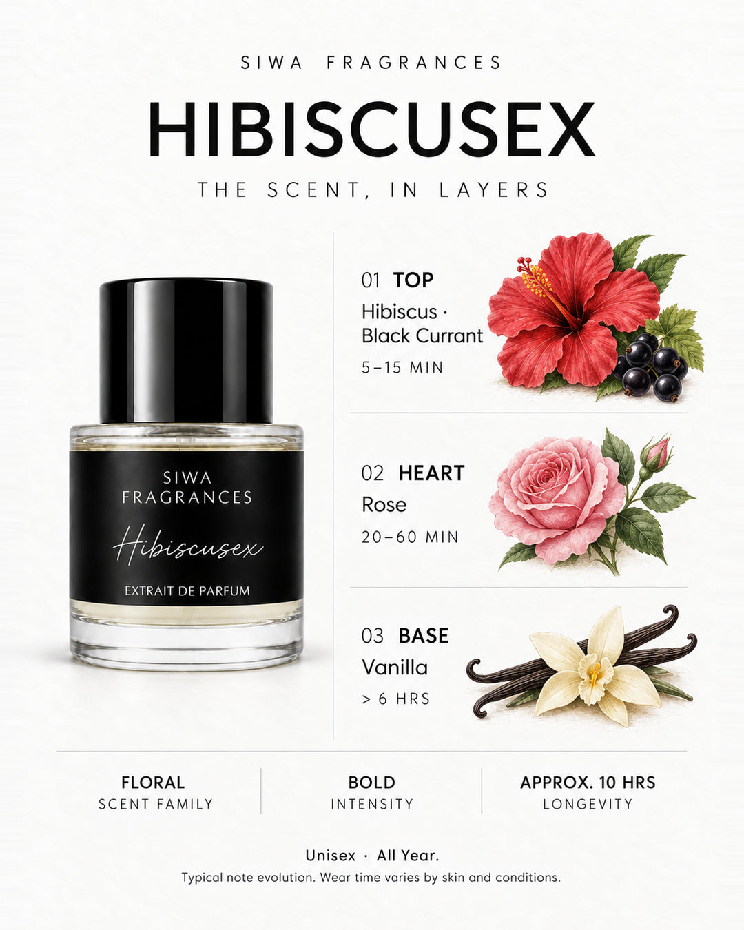 Siwa Hibiscusex 50ml bottle with colored illustrations of its fragrance notes. Top: Hibiscus, Black Currant; Heart: Rose; Base: Vanilla. | siwa-colored-notes-v1:hibiscusex