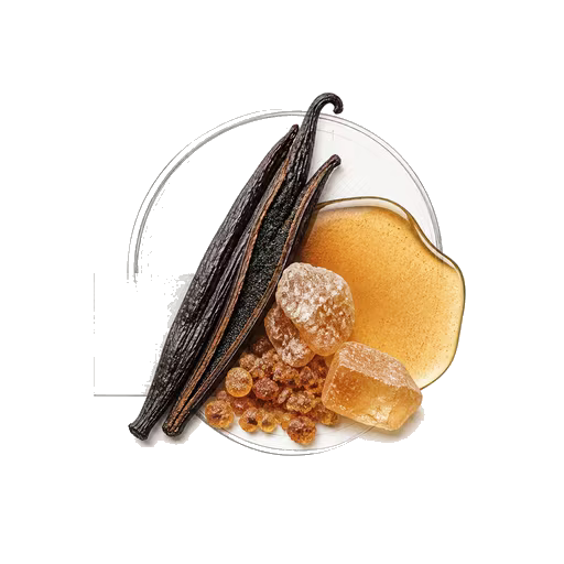 Oriental Vanilla scent family