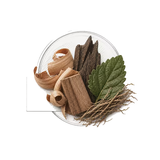 Woody Oriental scent family