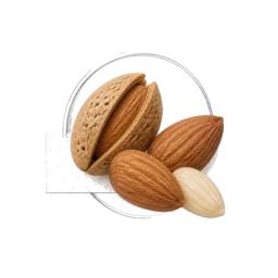 Almond