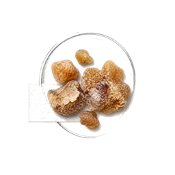 Benzoin