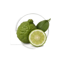 Bergamot