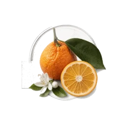 Bitter Orange