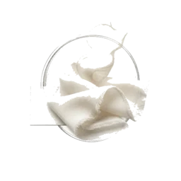 Clean Musk