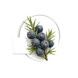 Juniper Berries