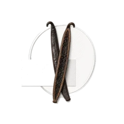 Madagascar Vanilla