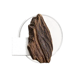 Oud