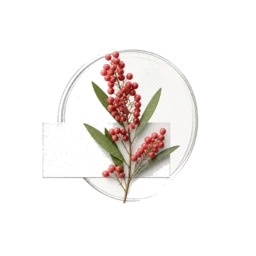 Pink Pepper