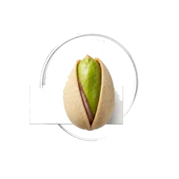 Pistachio