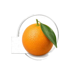 Sicilian Orange