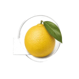 Soft Citrus