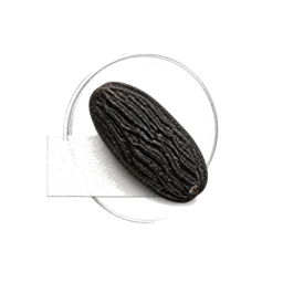 Tonka Bean