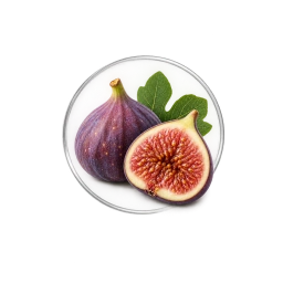 Fig