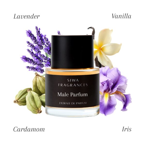 Male Parfum